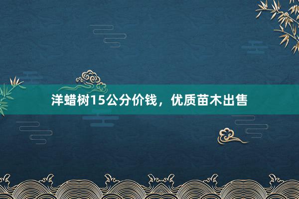 洋蜡树15公分价钱，优质苗木出售